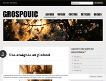 Tablet Screenshot of grospouic.wordpress.com