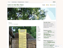 Tablet Screenshot of lifeinthebigtree.wordpress.com