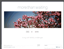 Tablet Screenshot of morethanwaiting.wordpress.com