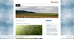 Desktop Screenshot of optimystical.wordpress.com
