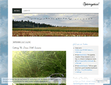 Tablet Screenshot of optimystical.wordpress.com