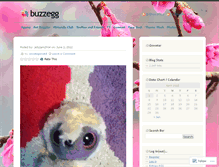 Tablet Screenshot of buzzegg.wordpress.com
