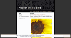 Desktop Screenshot of maddenstudio.wordpress.com