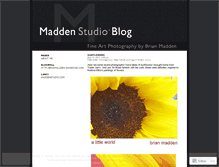 Tablet Screenshot of maddenstudio.wordpress.com