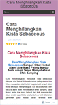 Mobile Screenshot of caramenghilangkankistasbaceous.wordpress.com