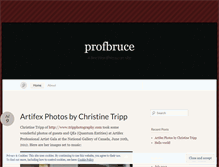 Tablet Screenshot of profbruce.wordpress.com