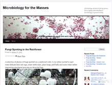 Tablet Screenshot of microforthemasses.wordpress.com