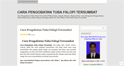 Desktop Screenshot of carapengobatantubafalopitersumbat.wordpress.com