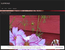 Tablet Screenshot of elliefreckles.wordpress.com