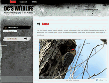 Tablet Screenshot of dougvphotography.wordpress.com
