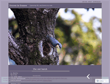 Tablet Screenshot of frozeninframes.wordpress.com