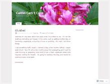 Tablet Screenshot of caitlincantcook.wordpress.com