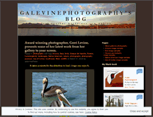 Tablet Screenshot of galevinephotos.wordpress.com