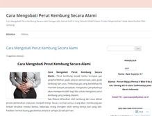 Tablet Screenshot of caramengobatiperutkembungsecaraalami22.wordpress.com