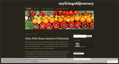 Desktop Screenshot of myfeingoldjourney.wordpress.com