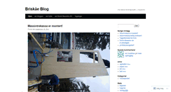 Desktop Screenshot of briskaaenmt.wordpress.com