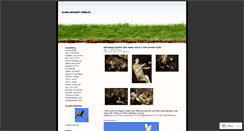 Desktop Screenshot of cbelle87.wordpress.com