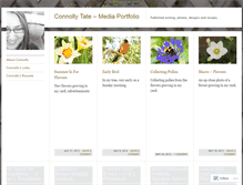 Tablet Screenshot of connollyalexis.wordpress.com