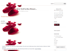 Tablet Screenshot of hayatyolcusu.wordpress.com