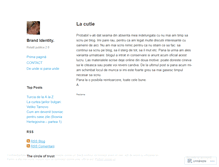 Tablet Screenshot of brandidentity.wordpress.com