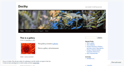 Desktop Screenshot of docthy.wordpress.com