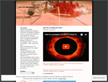 Tablet Screenshot of lovelifelikeyourself.wordpress.com