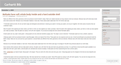 Desktop Screenshot of carharttbib.wordpress.com
