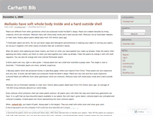 Tablet Screenshot of carharttbib.wordpress.com