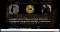 Desktop Screenshot of mvvr.wordpress.com