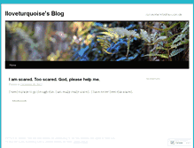 Tablet Screenshot of iloveturquoise.wordpress.com