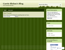 Tablet Screenshot of carrieblohm.wordpress.com