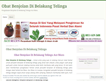 Tablet Screenshot of obatbenjolandibelakangtelingablog.wordpress.com