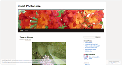 Desktop Screenshot of insertphotohere.wordpress.com
