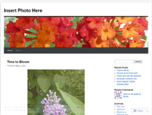 Tablet Screenshot of insertphotohere.wordpress.com