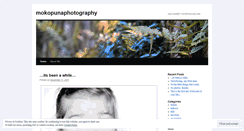 Desktop Screenshot of mokopunaphotography.wordpress.com