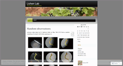 Desktop Screenshot of lichen340.wordpress.com
