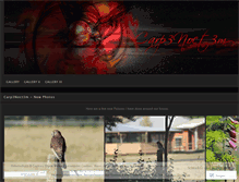 Tablet Screenshot of carp3noct3m.wordpress.com