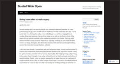 Desktop Screenshot of bustedwideopen.wordpress.com