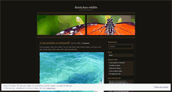 Desktop Screenshot of keyswildlife.wordpress.com
