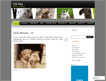 Tablet Screenshot of crpits.wordpress.com
