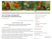 Tablet Screenshot of featherflower.wordpress.com