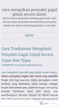 Mobile Screenshot of mengobatipenyakitgagalginjalsecaraalami.wordpress.com