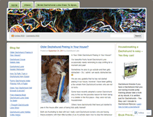 Tablet Screenshot of dachshundluke.wordpress.com