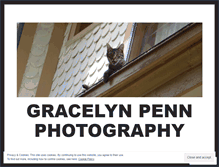 Tablet Screenshot of gracelynsblog.wordpress.com