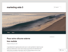 Tablet Screenshot of marketingaida3.wordpress.com