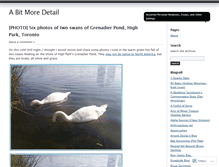 Tablet Screenshot of abitmoredetail.wordpress.com