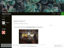 Tablet Screenshot of magazinulpiticot.wordpress.com