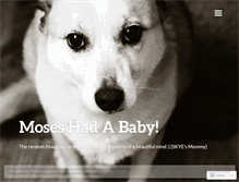 Tablet Screenshot of moseshadababy.wordpress.com