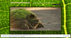 Desktop Screenshot of morningsidephoto.wordpress.com