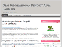 Tablet Screenshot of menyembuhkanasamlambung.wordpress.com